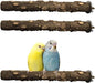 PINVNBY 3Pcs Bird Perches for Cage, Nature Wood Prickly Parrot Stand Toy Paw by PINVNBY