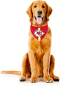 Littlearth NFL Denver Broncos Pet Bandana by Littlearth