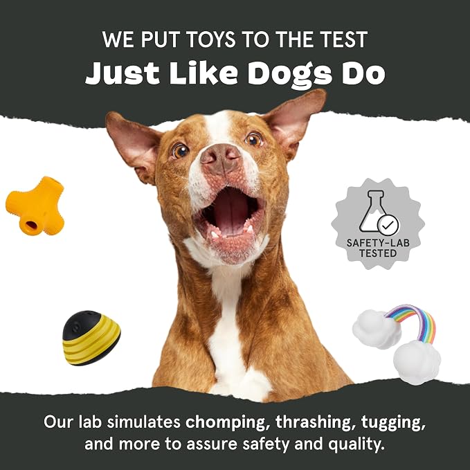 Barkbox Dogness Monster Super Chewer Dog Chew Toy - Image 7