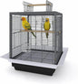 Bird Flight Cage 16 x 16 x 20 Inch, Wrought Iron Parrot Cage by Unknown