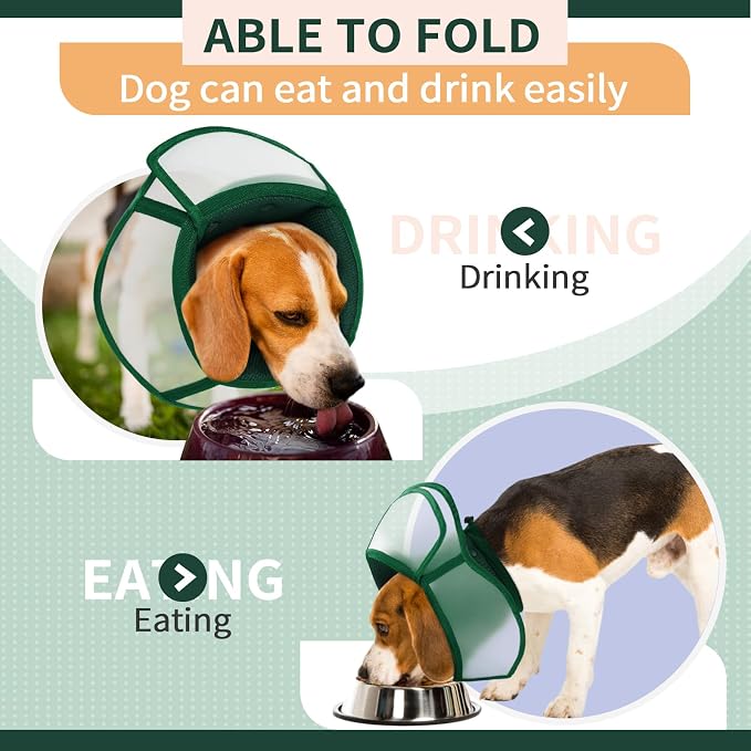 Allroaring Dog Cone, Soft Dog Cones - Image 3