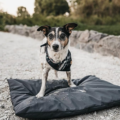 Dog Bed Cover Replacement Washable. 44 "L X 32 "W X 4 "H Washable Removable - Image 7