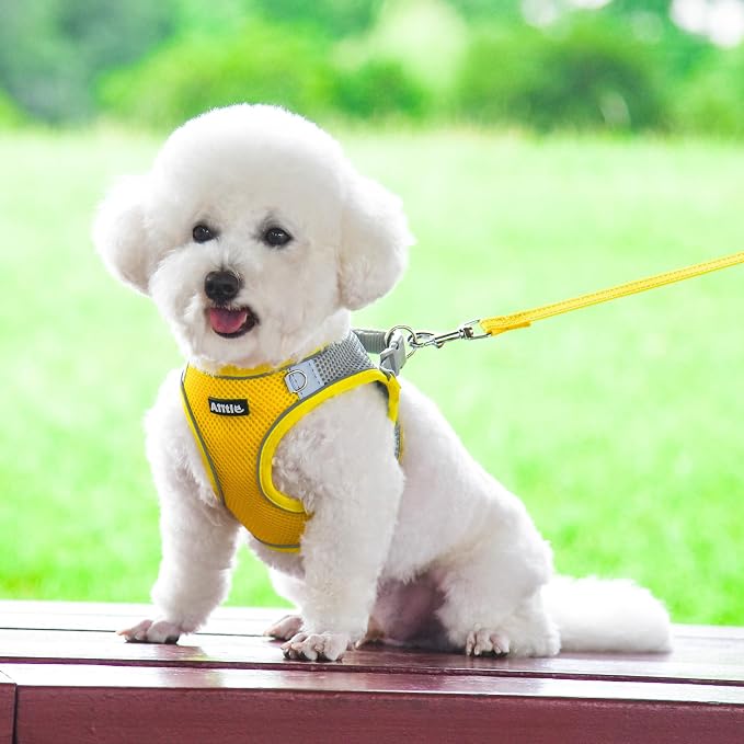 AIITLE Small Harness for Puppy - Image 2