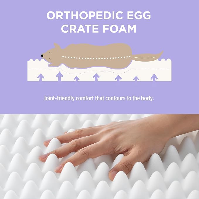 LE SURE Cute Orthopedic Dog Bed Large Sized Dog, Waterproof Chic Flat Pet Beds - Image 2