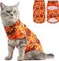 EXPAWLORER Thanksgiving Cat Sweater by EXPAWLORER