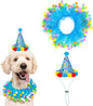 Lionheart glory Birthday Dog Collars by LionheartGlory