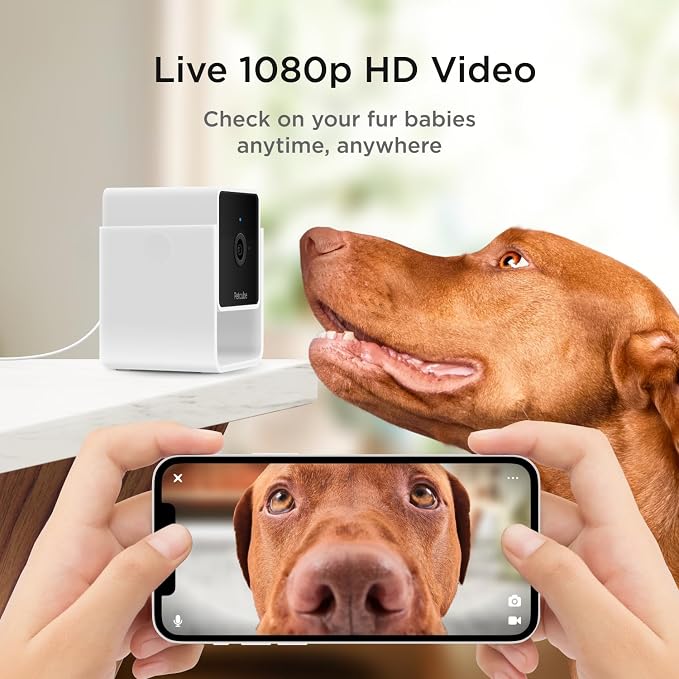 Petcube Cam The Pack of 2 | Indoor Wi-Fi Pet Security Camera - Image 2