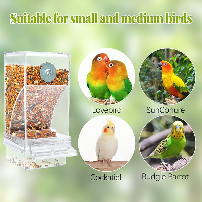 Rypet No Mess Automatic Bird Feeder Transparent Food Container Cage Acrylic - Image 6