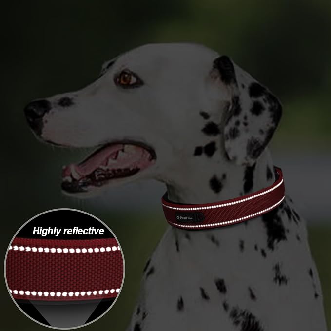 PetiFine Dog Collar for Large Dogs, Neoprene Padded and Adjustable, Reflective - Image 4