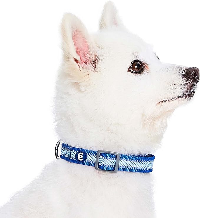 Blueberry Pet Small Dog Collar in Reflective Navy Blue | Adjustable Nylon Strap - Image 4