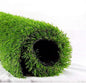 ALTRUISTIC Premium Artificial Grass Drainage Holes & Rubber Backing 70 oz by AltrusticProArtificialGrass