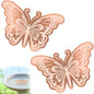 2Pcs Bird Bath Copper Disk, 0.6mm Reinforced 99.9% Pure Copper Cleaning Disk by VeyFolzinst