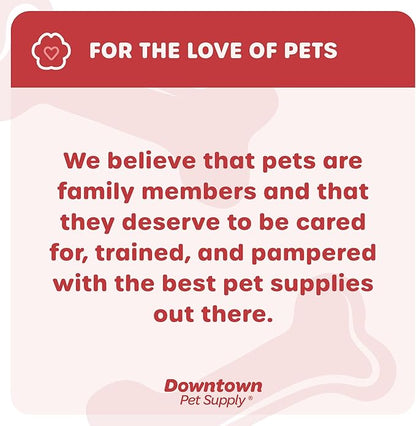 Downtown Pet Supply Step-in Dog Harness – No Pull, Adjustable Padded Mesh - Image 8