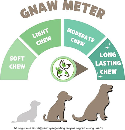 Nature Gnaws Bully Sticks for Dogs 11-12" - Image 3