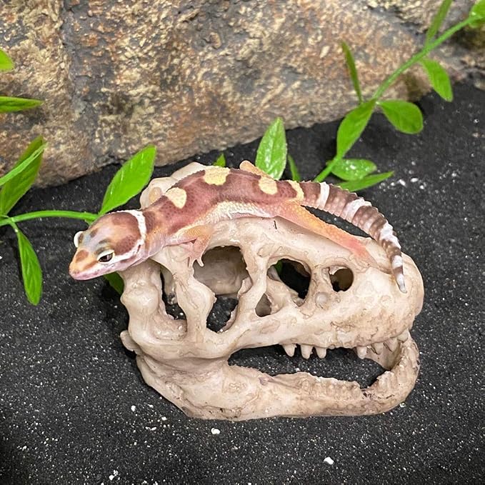 Resin Dinosaur Skull Aquarium Ornament Mini Dinosaur Tank Decoration Betta Fish - Image 2