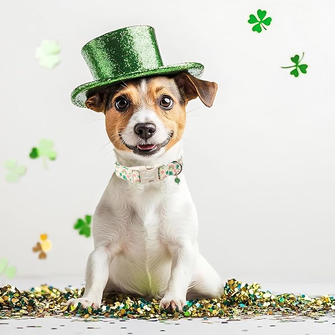 St. Patrick's Day Dog Collar for Small Dogs - Image 3