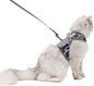 Tactical Kitty Harness and Leash by Yizhi+Miaow