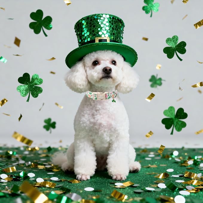 St Patricks Day Dog Collar for Giant Large Dogs - Image 6
