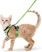 rabbitgoo Cat Harness and Leash by rabbitgoo
