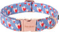 Unique style paws Valentine's Day Dog Collar Metal Buckle Collar Blue Pink Love by Uniquestylepaws