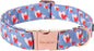 Unique style paws Valentine's Day Dog Collar Metal Buckle Collar Blue Pink Love by Uniquestylepaws