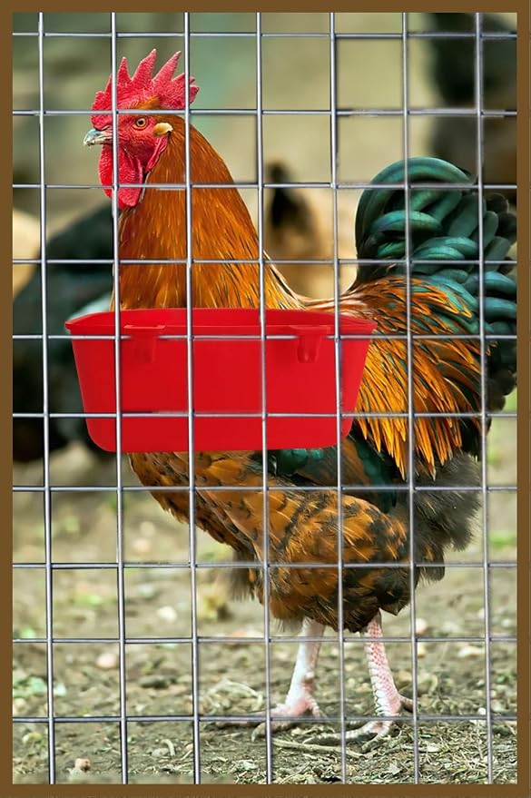 5 Pack Cage Cups Chicken Birds Feeder Water Bowl 25 OZ Rabbit Feeding Watering - Image 4