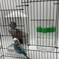 No Mess Bird Feeder Water Dispenser Set, Automatic Bird Feeder by chuyouan