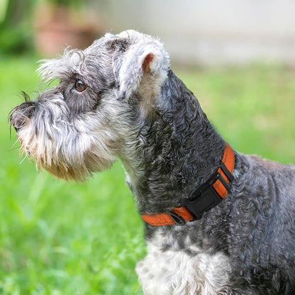 Joytale Reflective Dog Collar, Soft Neoprene Padded, Metal D-Ring, Nylon Pet - Image 2