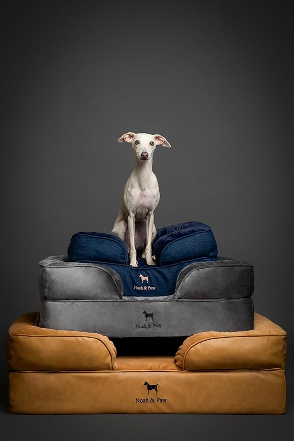 NOAH & PAW XL Dog Bed, Orthopedic Large Dog Beds, Eggshell Memory Foam Infused - Image 8