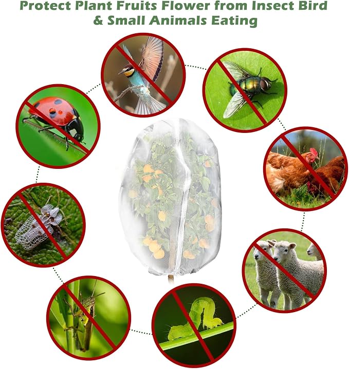3Pcs Plant Covers from Insects, 3Size Bird Netting Barrier - Image 5