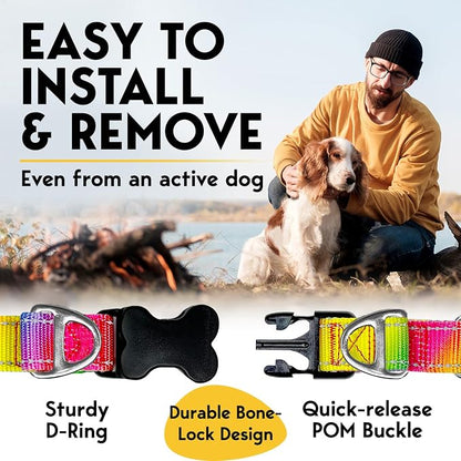 PetJett Prong Collar for Dogs - Image 5