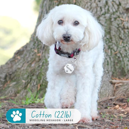 Ultra Joys Dog Tags Personalized - Image 3