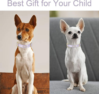 Nylon Dog Collar - Image 3