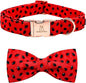Lionheart glory Dog Collar, Watermelon Dog Collar by LionheartGlory