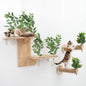 Novabright 3 Pcs Cat Wall Shelves Set, Double-Layer Platform Cat Wall Furniture by Unknown