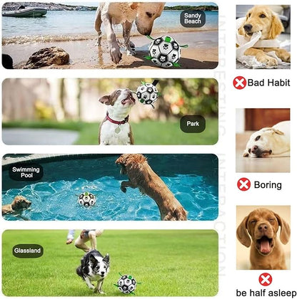 Amasiver Dog Soccer Ball Toys - Image 4