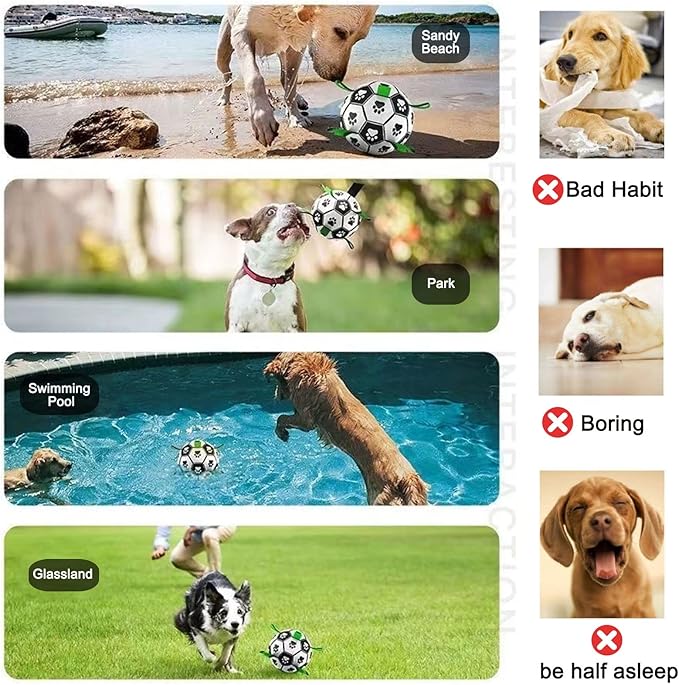Amasiver Dog Soccer Ball Toys - Image 3