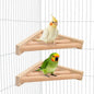 Litewoo Bird Perch Corner Platform Stand Shelf by Litewoo