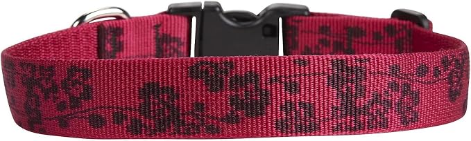 LupinePet 20252 Originals 1" Plum Blossom 12-20" Adjustable Collar by LupinePet