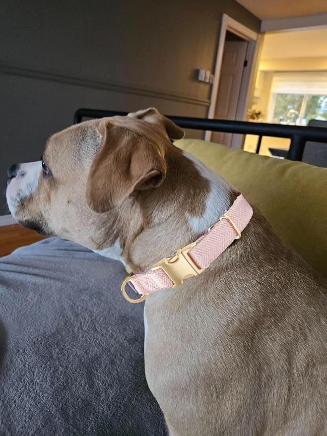 Soft Cotton Hemp Dog Collar - Image 4
