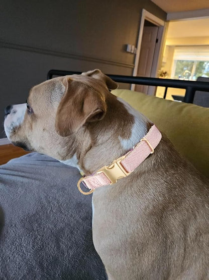 Soft Cotton Hemp Dog Collar - Image 5