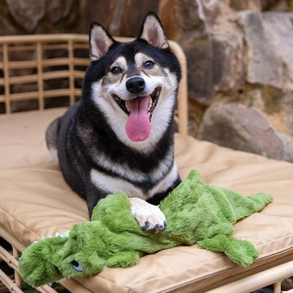 Best Pet Supplies Squeaky Dog Toys - Image 6