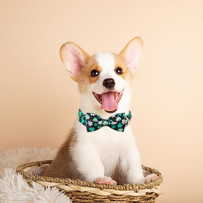 MR. CHUBBYFACE St.Patrick's Clover Dog Collar - Image 5