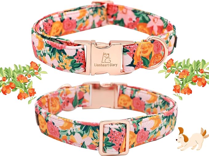 Lionheart Glory Dog Collar - Image 4