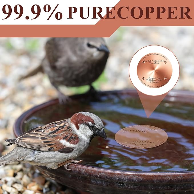 4 Pcs Bird Bath Copper Disk, 0.6mm Thick Reinforced 99.99% Pure Copper Birdbath - Image 4