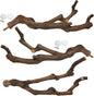 kathson Natural Parrot Perch Bird Stand Pole Wild Grape Stick Paw Grinding Fork by kathson