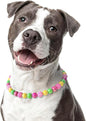Beaded Dog Necklace Collar, Adjustable Jewelry-Inspired Design by JOGIA