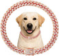 Dog Collar Cuban Link Rose Glod Crystal Dog Necklace Metal Chain Collar by Unknown