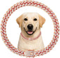Cuban Link Dog Chain Collar Rose Gold Crystal Dog Necklace Metal by Unknown