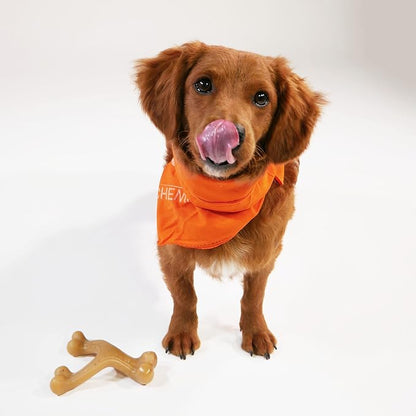 Nylabone Gourmet Style Wishbone Strong Chew Toy - Image 3